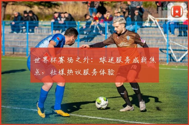 世界杯赛场之外：球迷服务成新焦点，社媒热议服务体验