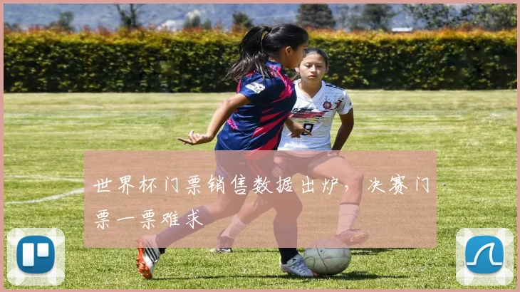 世界杯门票销售数据出炉,决赛门票一票难求