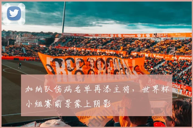 加纳队伤病名单再添主将,世界杯小组赛前景蒙上阴影